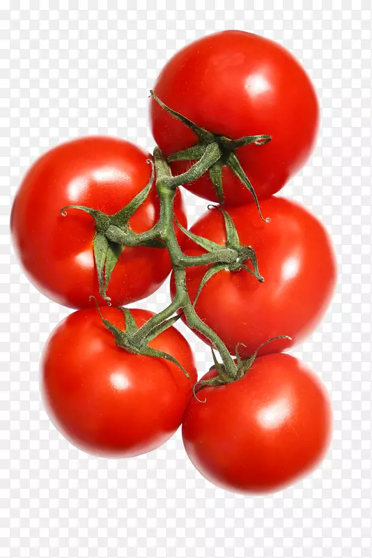 西红柿-鲜红的番茄水果