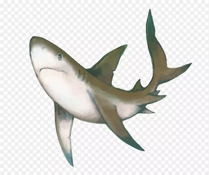 水彩鲨鱼