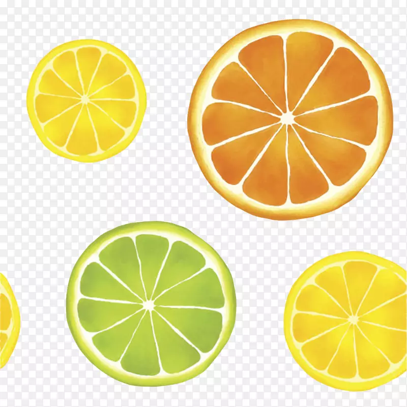 橙黄绿色美味的水果柠檬片卡通