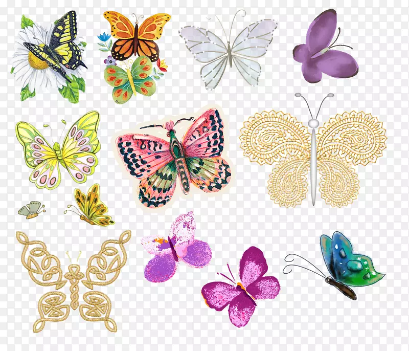 各种各样的漂亮蝴蝶png免扣高清大图素材