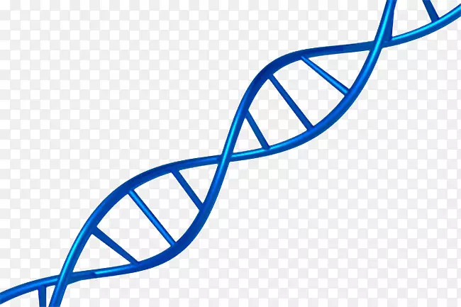 藏青色逼真dna遗传物质基因肽