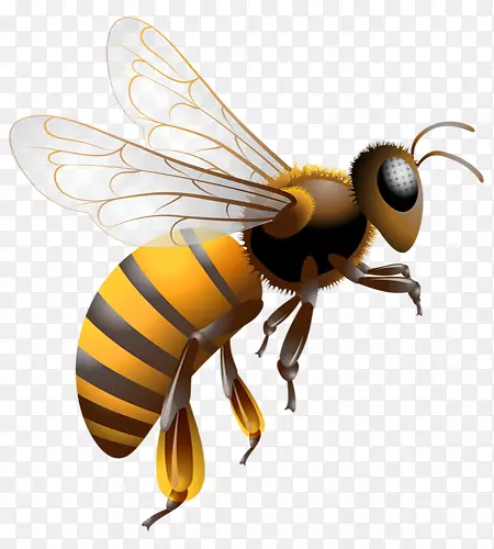 可爱黄色小蜜蜂