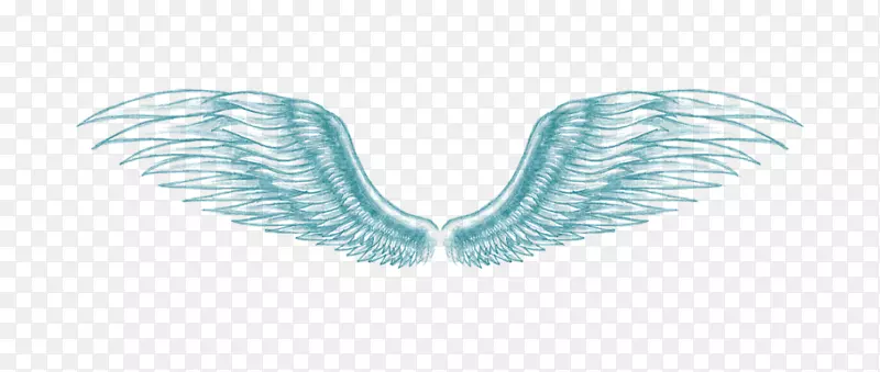 天使与恶魔幻化翅膀