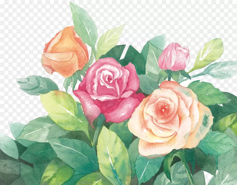 彩绘玫瑰花花卉元素
