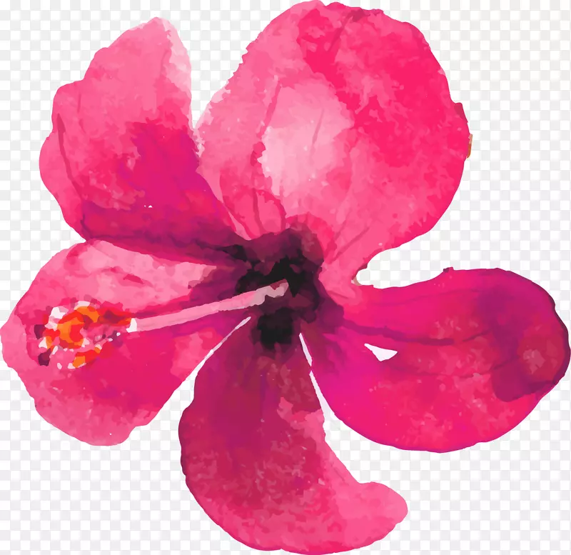 水彩绘粉色花朵矢量图