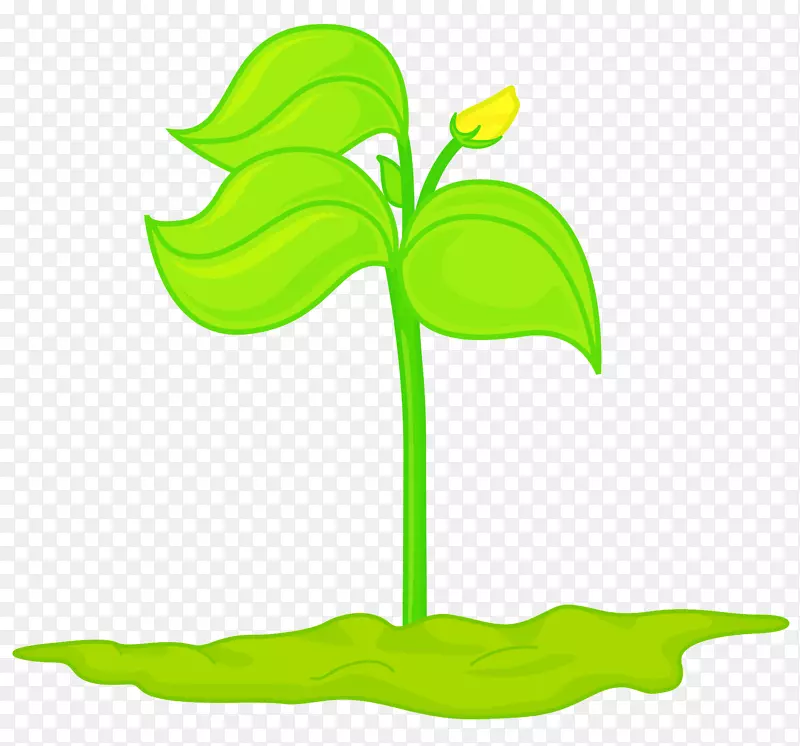 卡通绿色植物免抠图