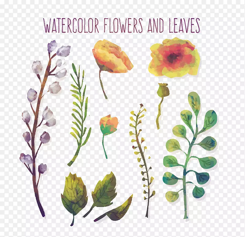 水彩绘花朵和叶子
