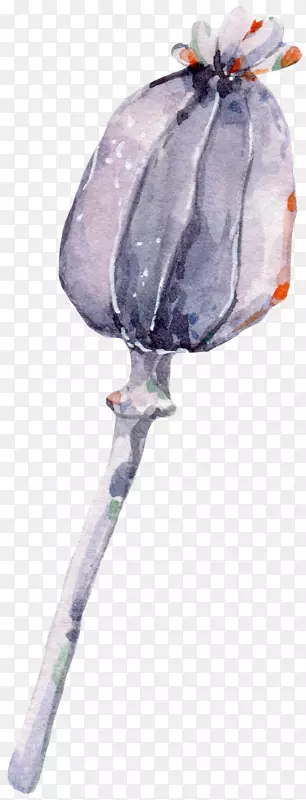 彩色手绘的小花苞