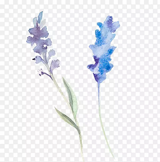 手绘清新水彩绘花朵叶子
