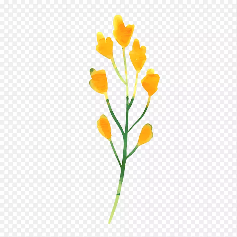 小清新水彩绘黄色花朵