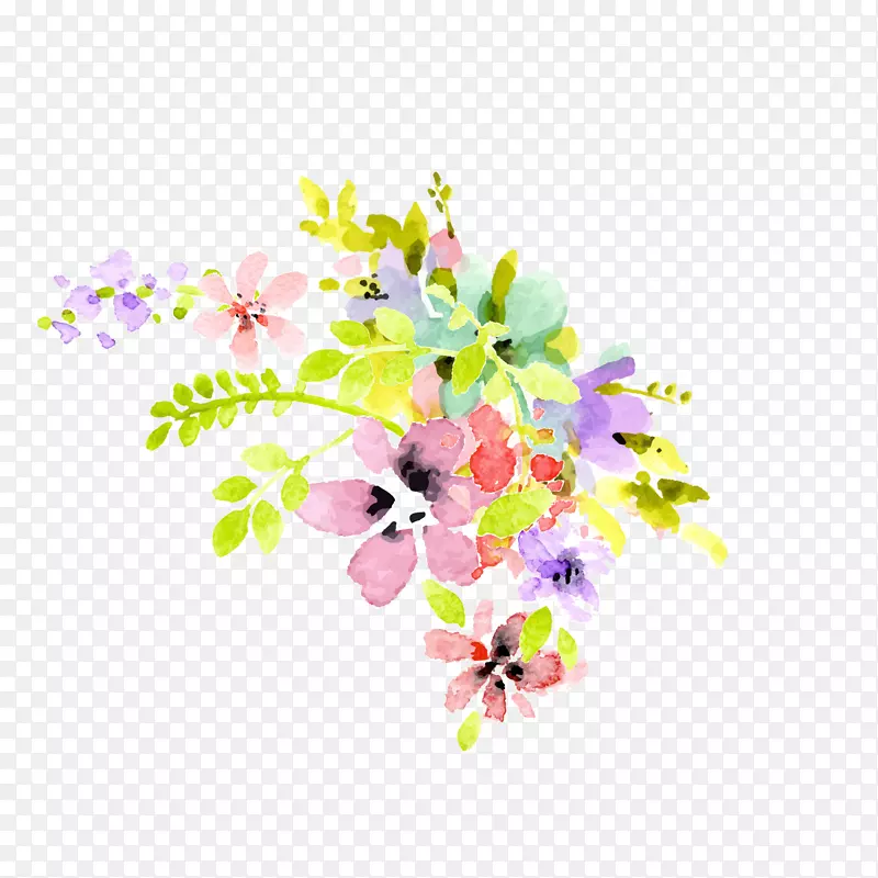 水彩绘彩色花朵植物