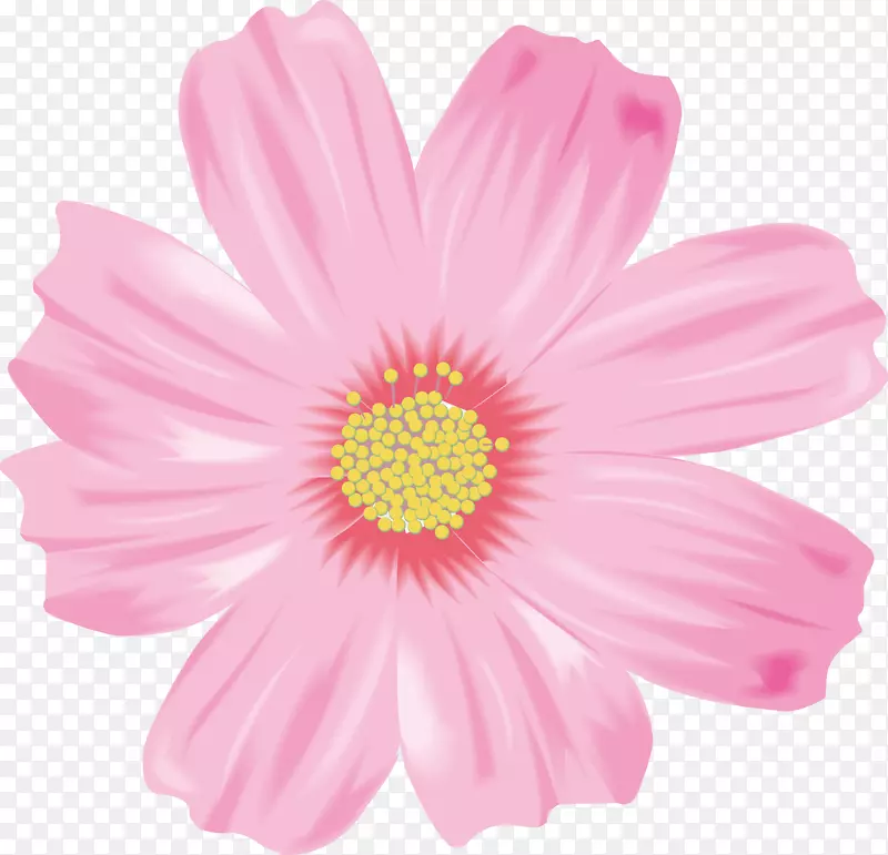 一朵盛开的粉色花朵图