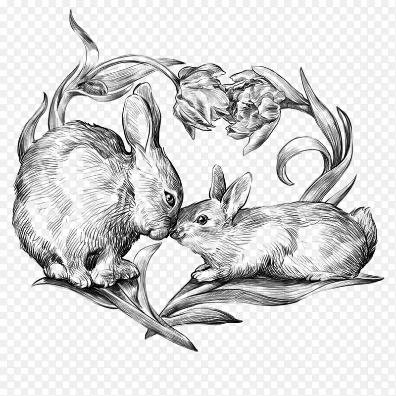 手绘兔子