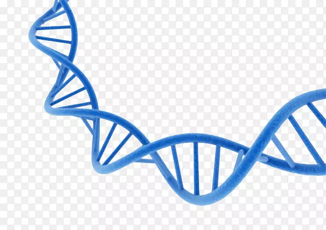 深蓝色dna遗传物质基因肽链脱