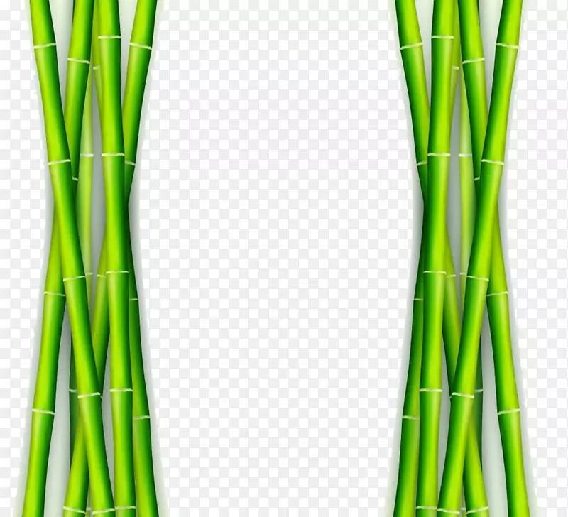 嫩绿色竹边框对称边框
