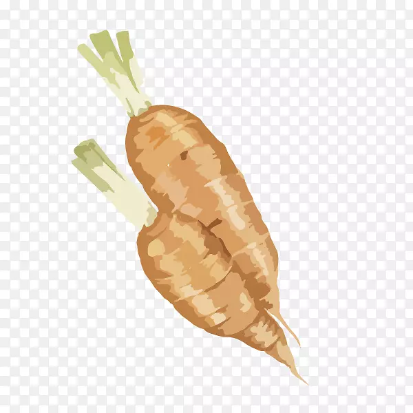 卡通手绘蔬菜装饰海报设计胡萝卜