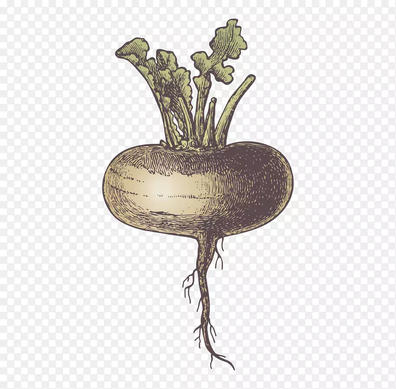 卡通手绘蔬菜装饰海报设计萝卜