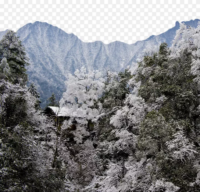 梵净山上的雪景