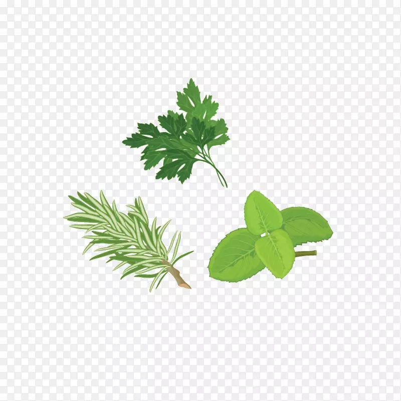 卡通手绘中草药素材