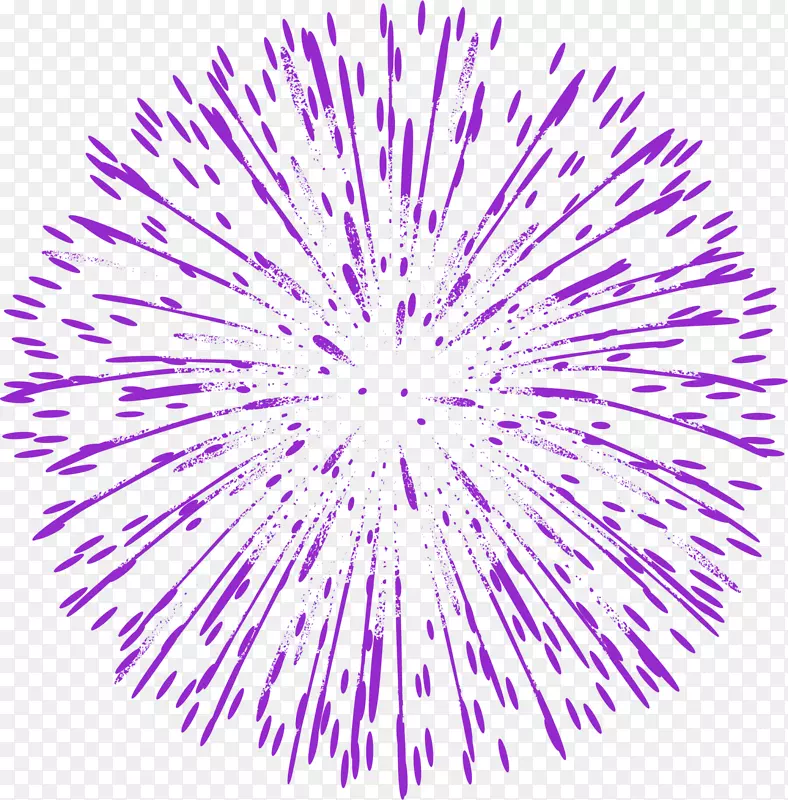 春节紫色绽放的烟花