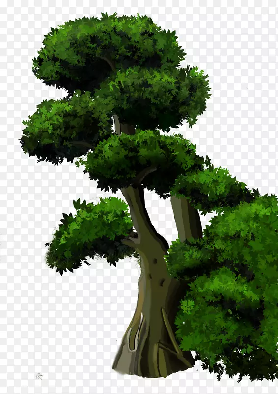 茂密的绿色大树