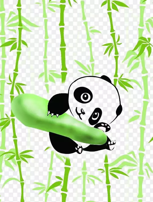 可爱小熊猫竹林捧着瓜