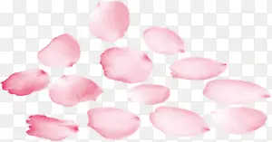 粉色花瓣飘零