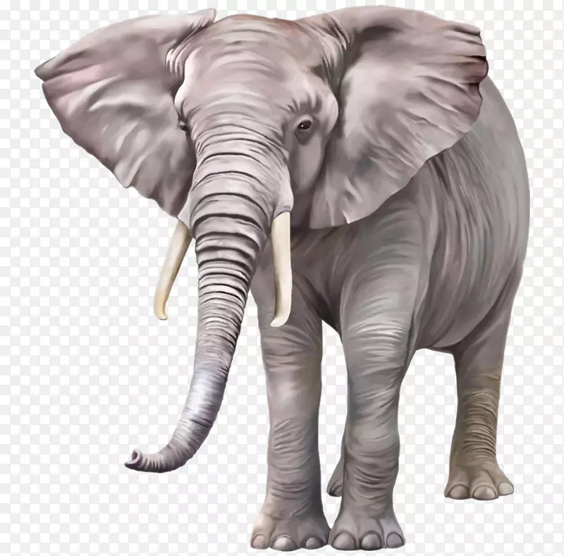 大象手绘大象卡通大象