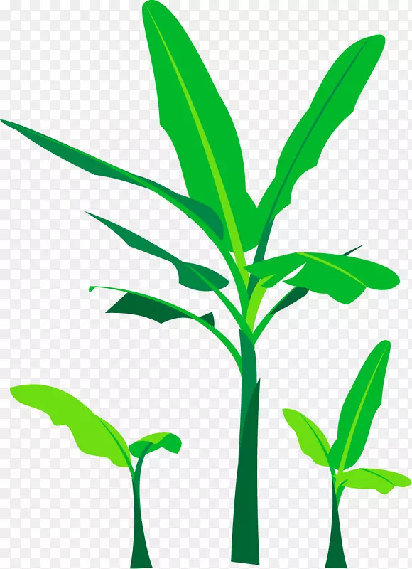 枝桠绿色卡通风格香蕉树