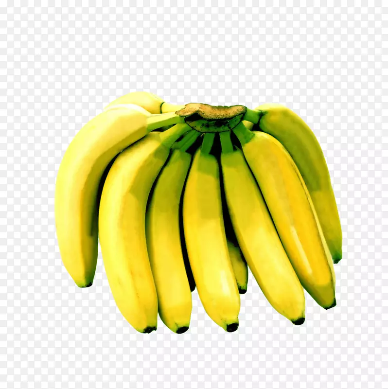 香蕉水果一串一排香蕉