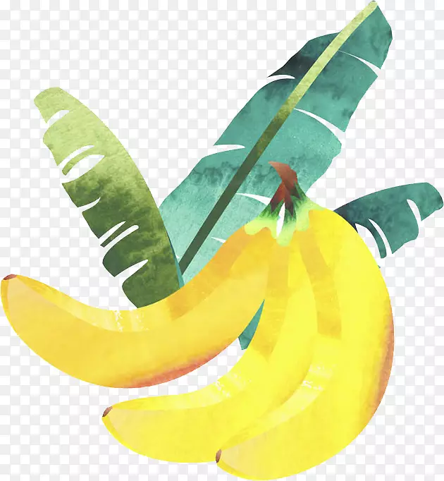 黄色的香蕉和绿色的芭蕉叶