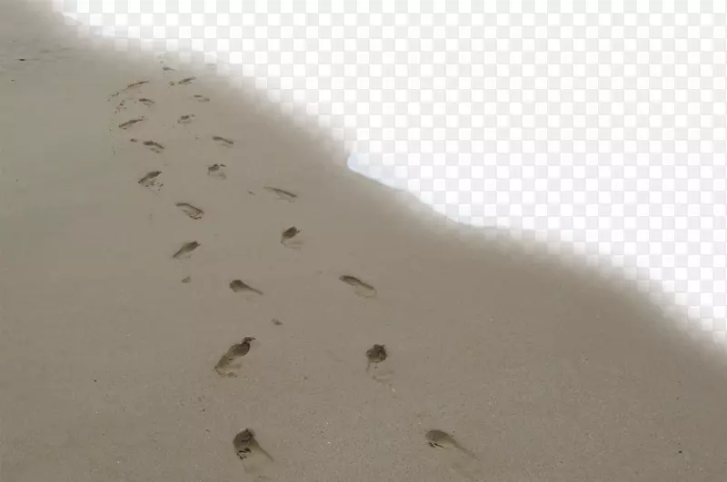 有脚印的沙滩