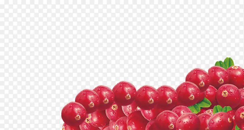 纯天然蔓越莓食品海报