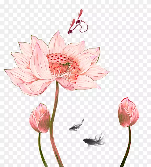 粉色中国风莲花装饰图案
