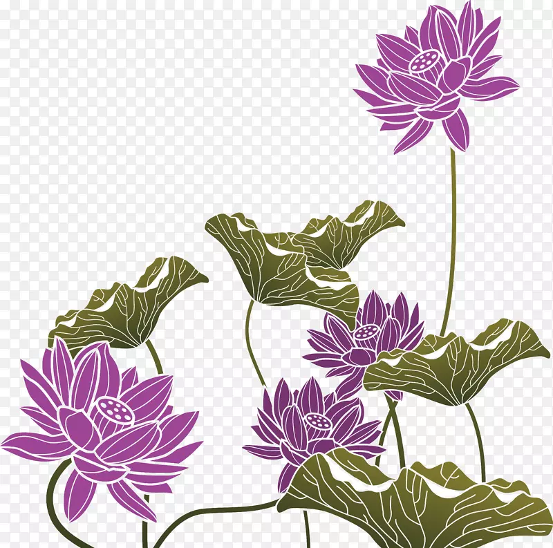 紫莲花图