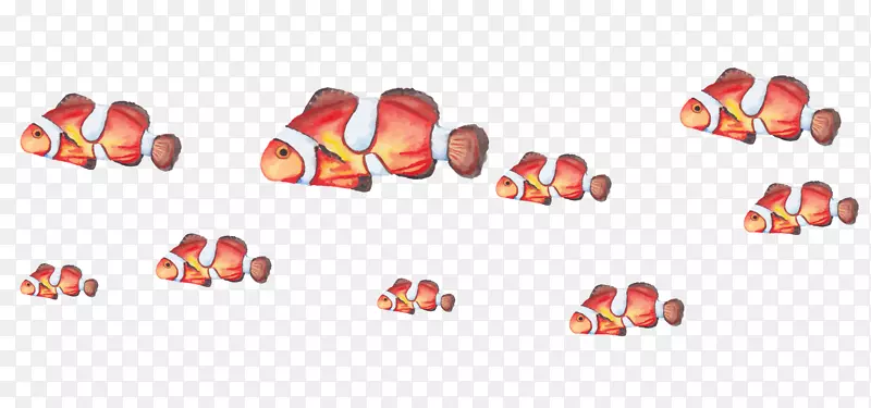 彩绘海底小丑鱼群矢量图