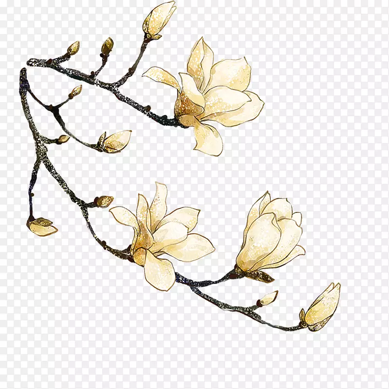 手绘连枝白色小花