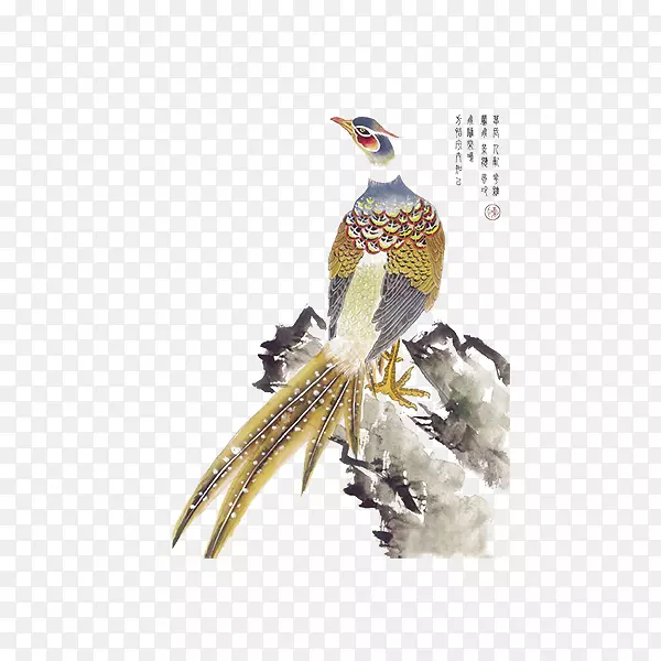 装饰图案