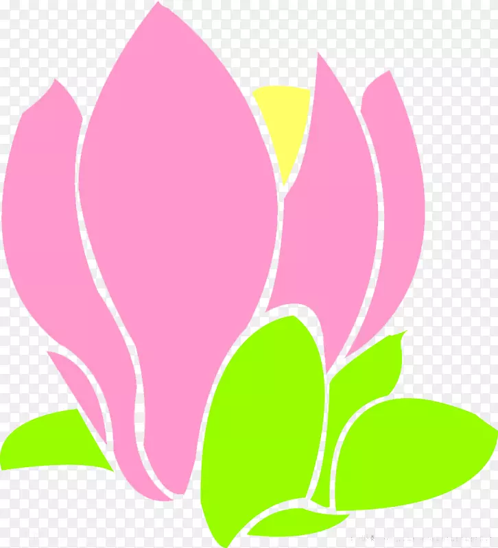 创意美丽的玉兰花