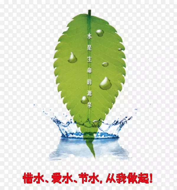 水是生命的源泉