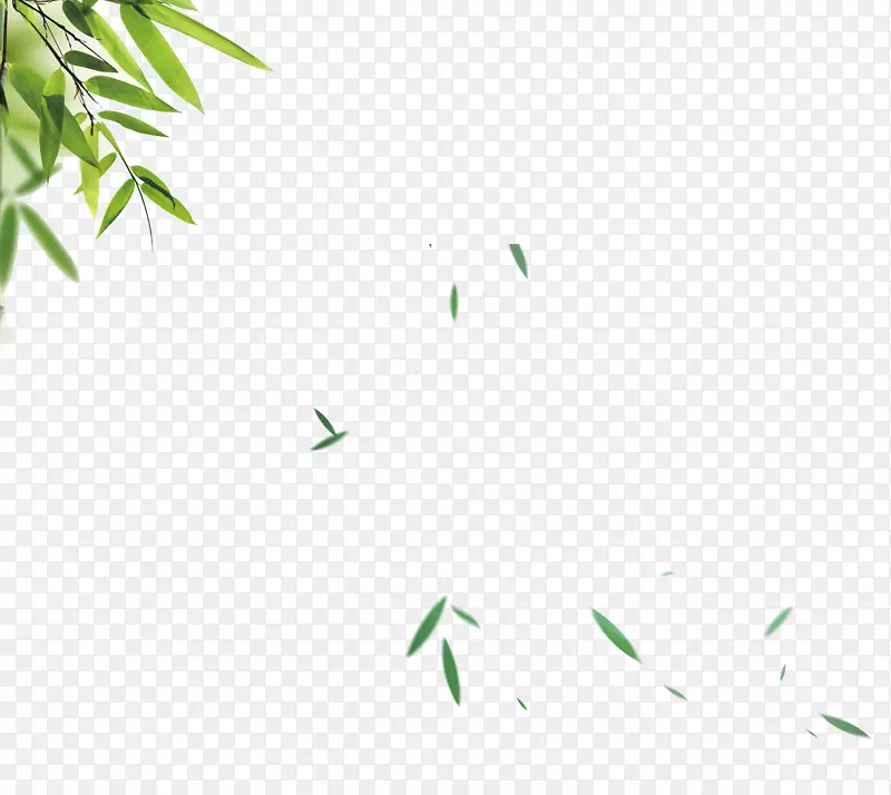 飘落的竹子叶