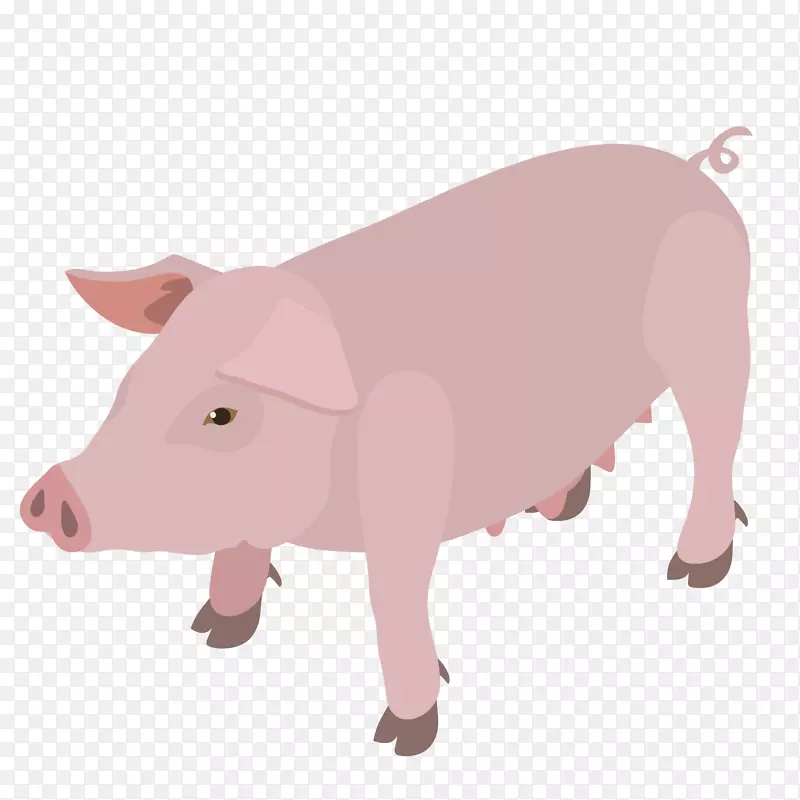 粉色可爱设计小猪