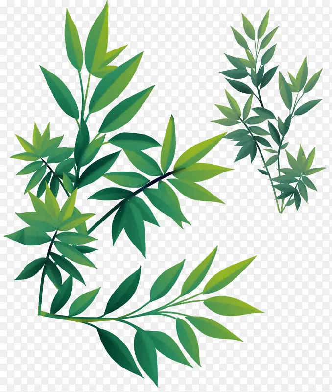 春天树叶绿植绿叶PNG图片素材下载_图片编号zylakxvq-免抠素材网