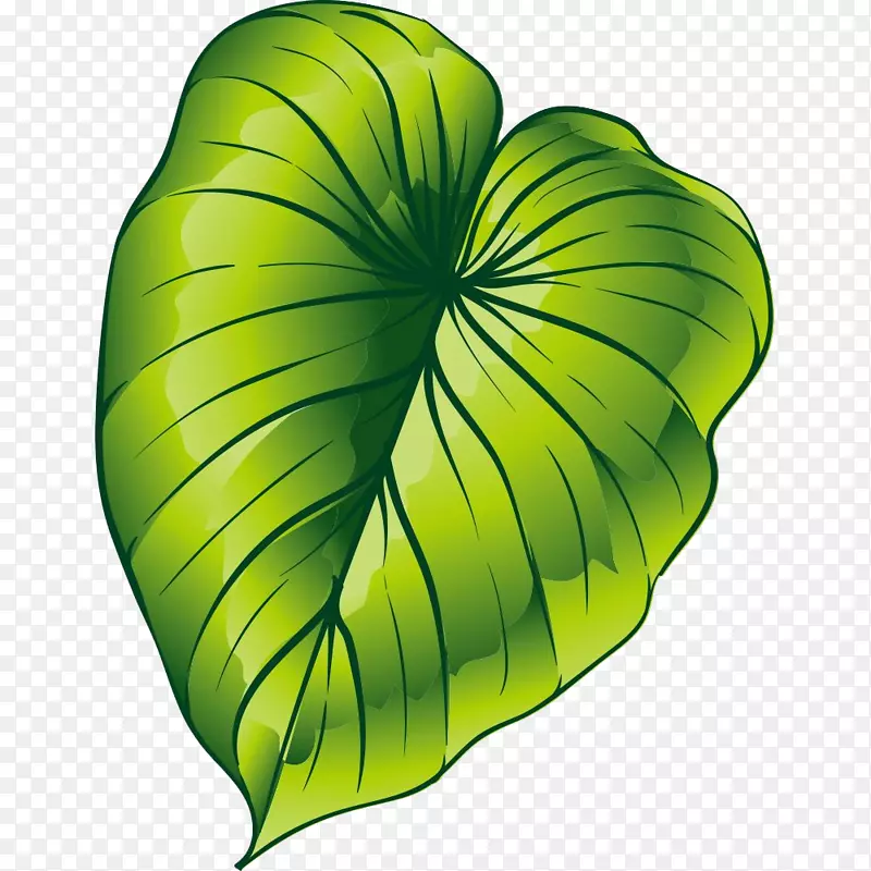 卡通绿叶-卡通手绘植物绿叶春天素材