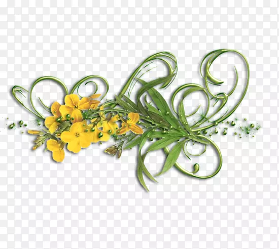 黄色花植物