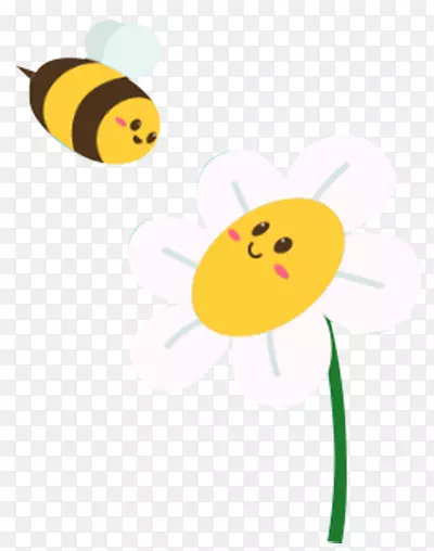 蜜蜂 太阳花 太阳
