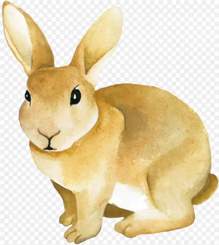 手绘黄色的小兔子免抠图