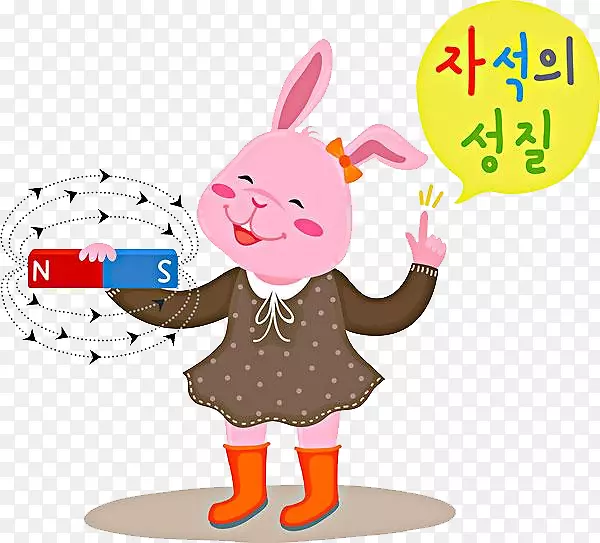 韩文和兔子