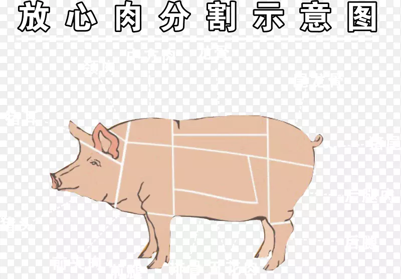 手绘猪肉分割示意图