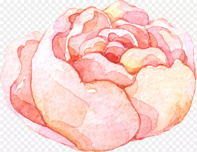 小清新水彩月季花